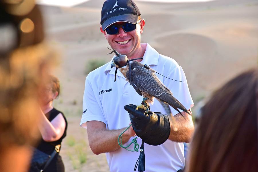 Falconry experience at an incentive trip